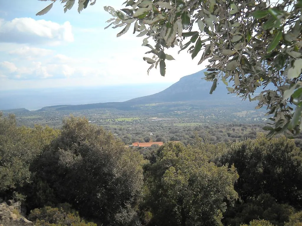 Agriturismo Su Tiresi Cala Gonone Séjour à la ferme