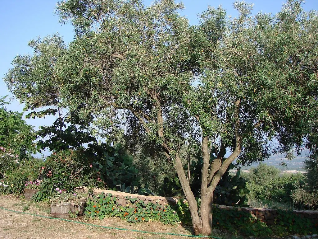 Agriturismo Su Tiresi Cala Gonone Italie