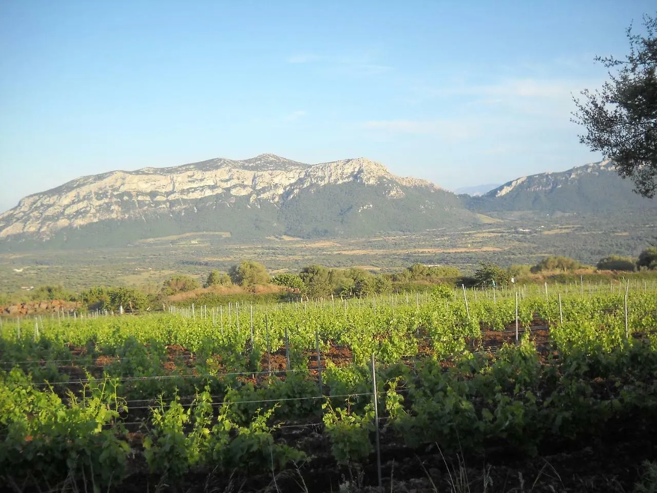 Agriturismo Su Tiresi Cala Gonone Séjour à la ferme