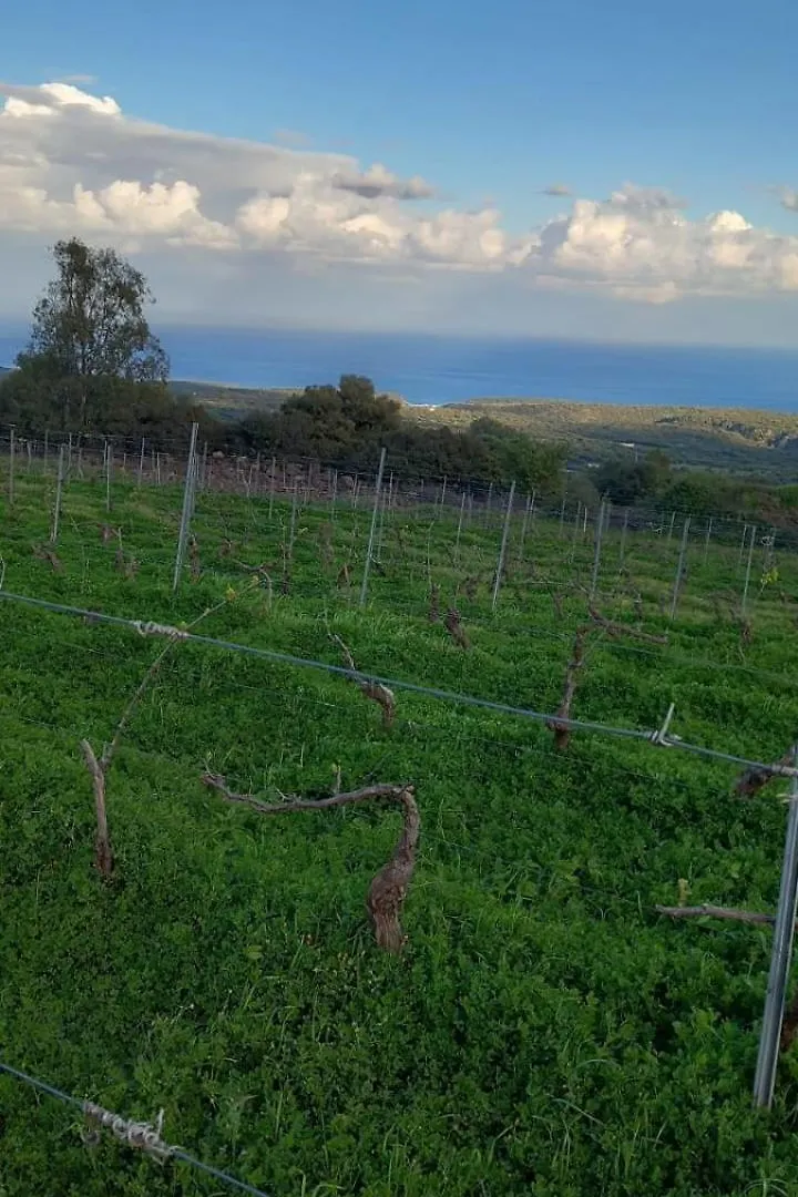 ファームステイ Agriturismo Su Tiresi カーラゴノネ
