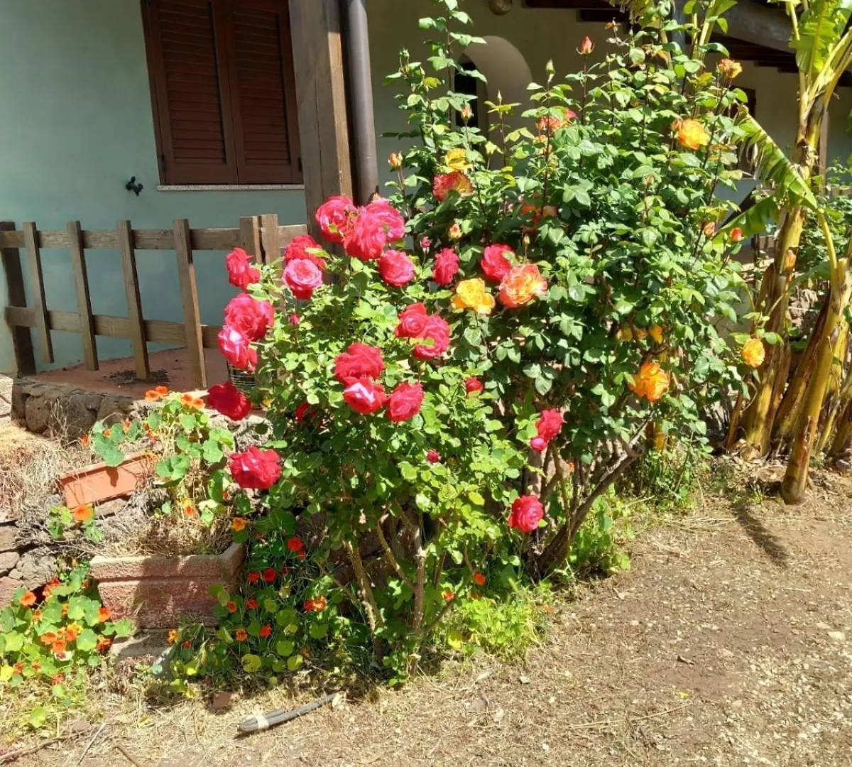 Agriturismo Su Tiresi カーラゴノネ 0*,  イタリア
